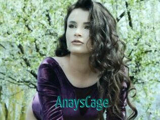 AnaysCage Guide du Queutard