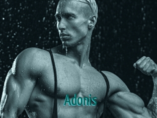 Adonis_