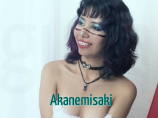 Akanemisaki