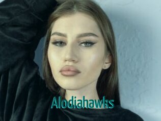 alodiahawks Guide du Queutard