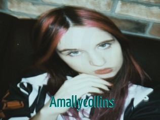 amallycollins Guide du Queutard