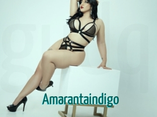 Amarantaindigo