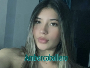 ambercaballero Guide du Queutard
