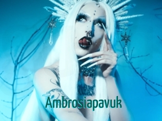 Ambrosiapavuk