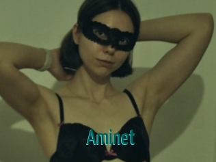 Aminet