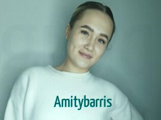 Amitybarris