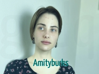 Amityburks