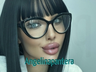 Angelinapantera