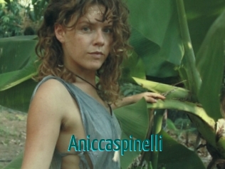 Aniccaspinelli