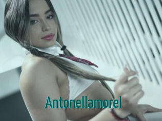 Antonellamorel