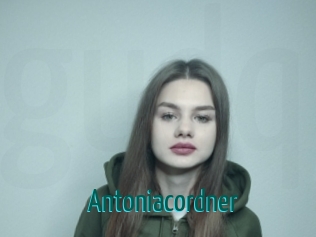 Antoniacordner