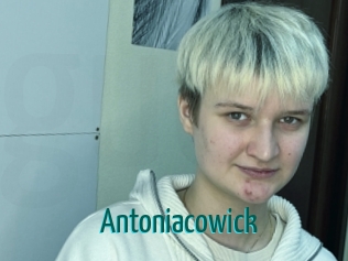 Antoniacowick