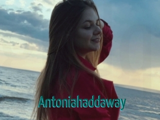 Antoniahaddaway