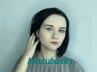 Antoniahanney