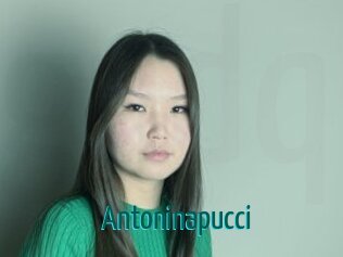 Antoninapucci