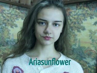 Ariasunflower