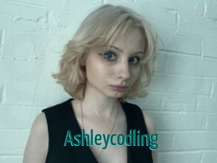 Ashleycodling