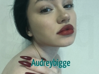 Audreybigge