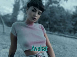 Avakat