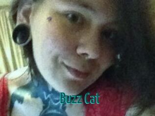 Buzz_Cat