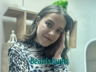 Beatrixburks