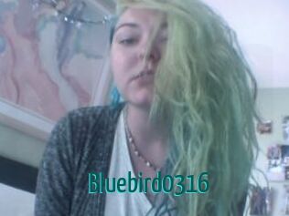 Bluebird0316