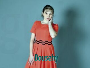 bousehy Guide du Queutard