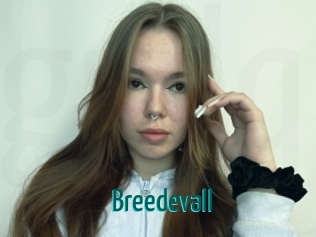 Breedevall