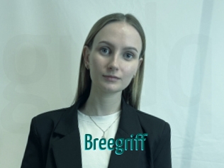Breegriff