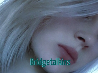 Bridgetalkins