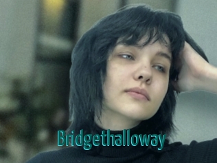 bridgethalloway Guide du Queutard
