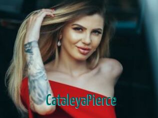 CataleyaPierce Guide du Queutard