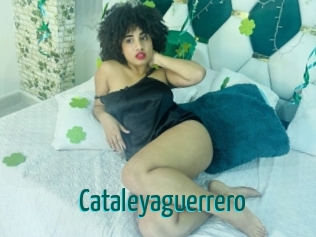 Cataleyaguerrero