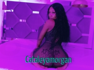 Cataleyamorgan