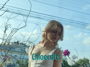 Chloecolts
