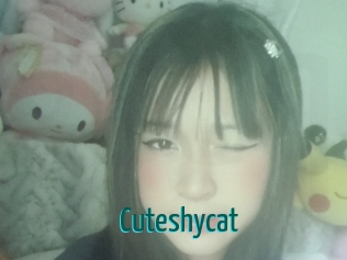 Cuteshycat