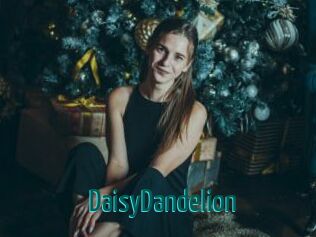 DaisyDandelion