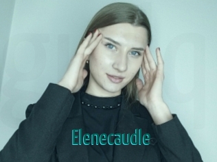 Elenecaudle