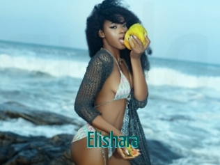 Elishara