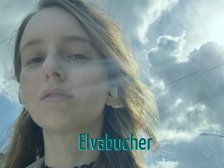 Elvabucher