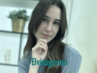 Elvinagomer