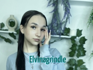 Elvinagrindle