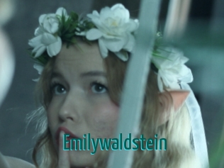 Emilywaldstein