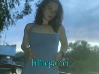 erlineganter Guide du Queutard