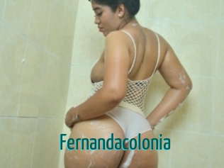 Fernandacolonia