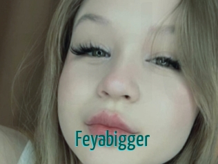 Feyabigger