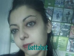 Gattahot