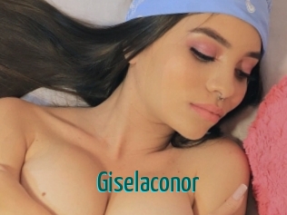 Giselaconor