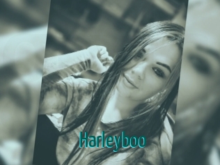 Harleyboo