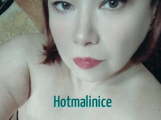 Hotmalinice